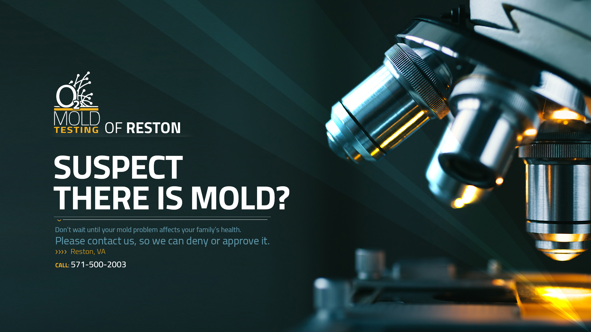 O2 Mold Testing of Reston Image